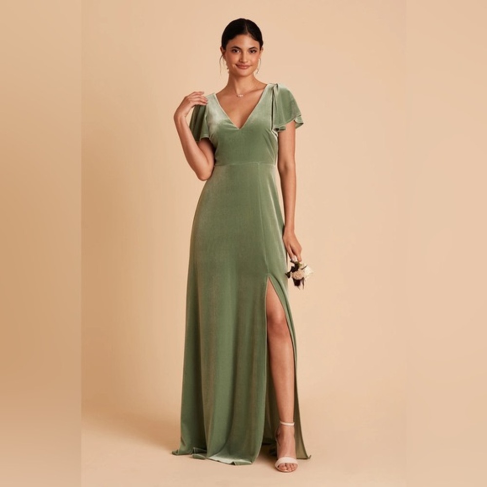 Birdy Grey Hannah Velvet dress
